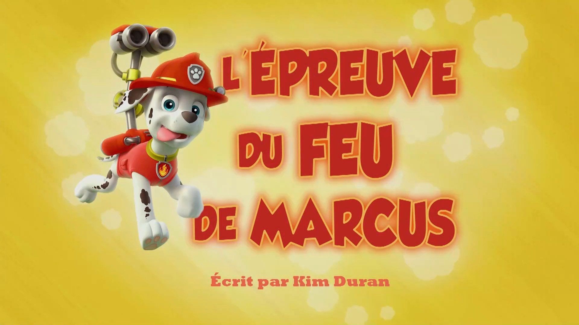 PAW Patrol background