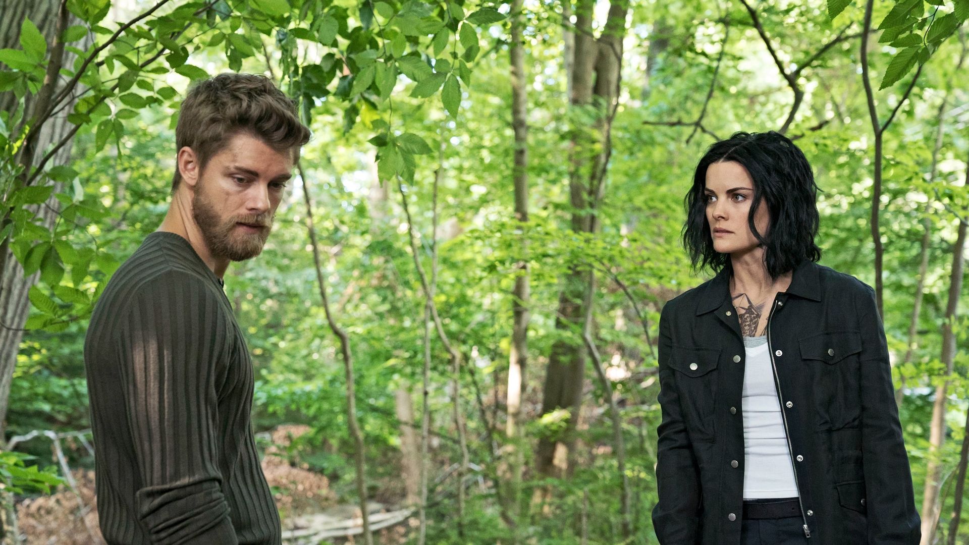 Blindspot background