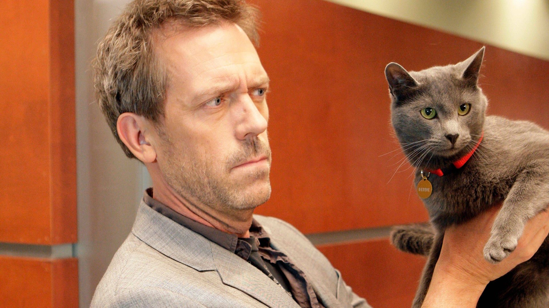 House M.D. background