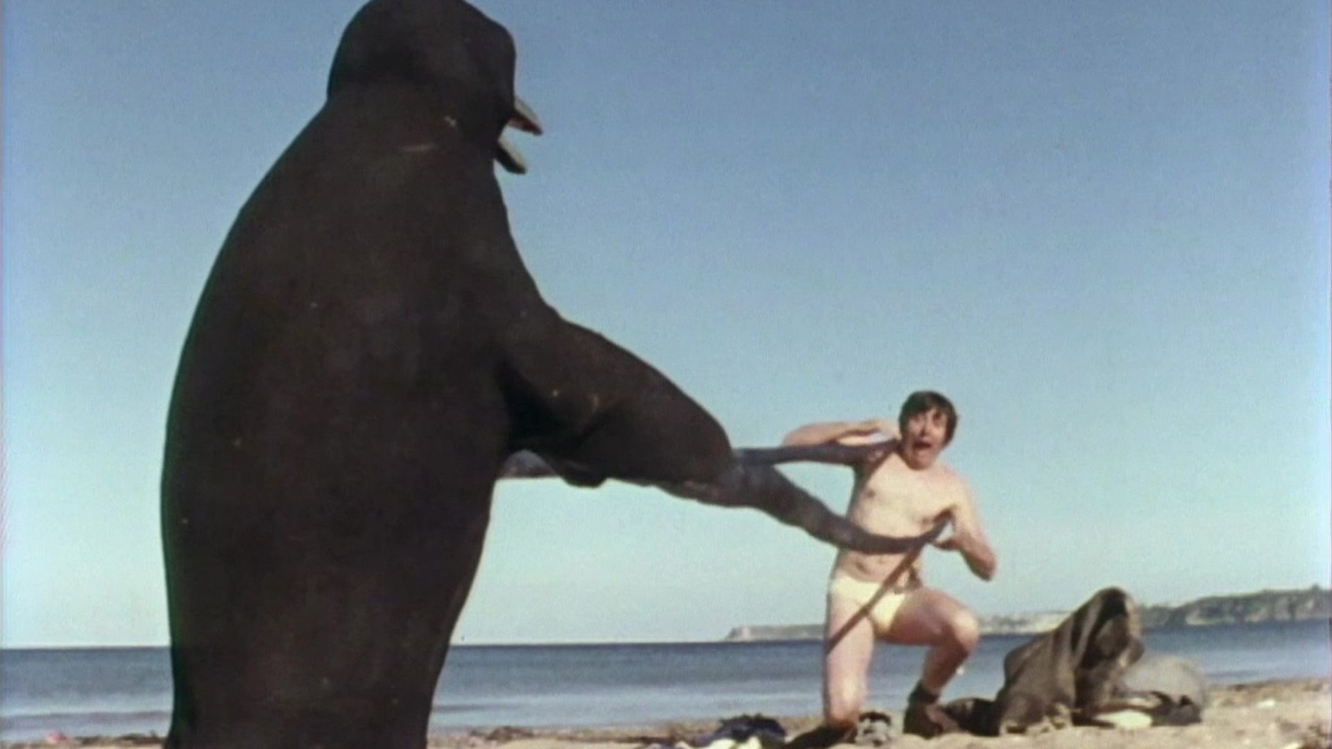 Monty Python's Flying Circus background