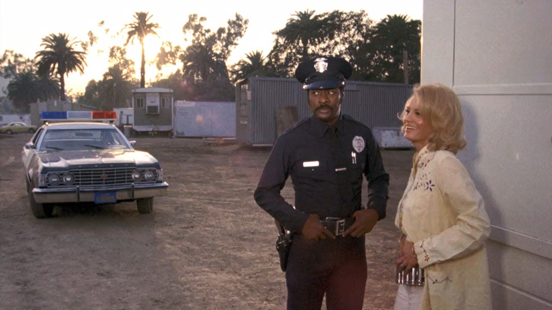Police Woman background