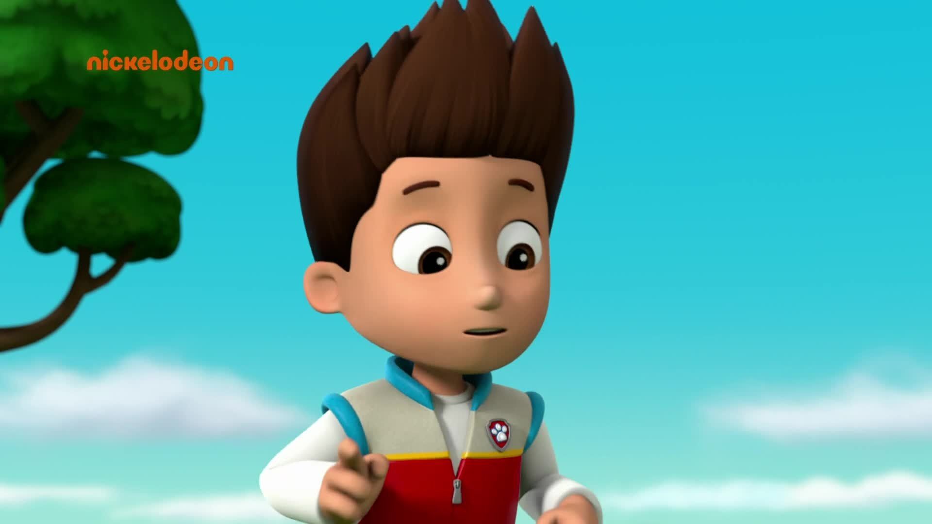 PAW Patrol background