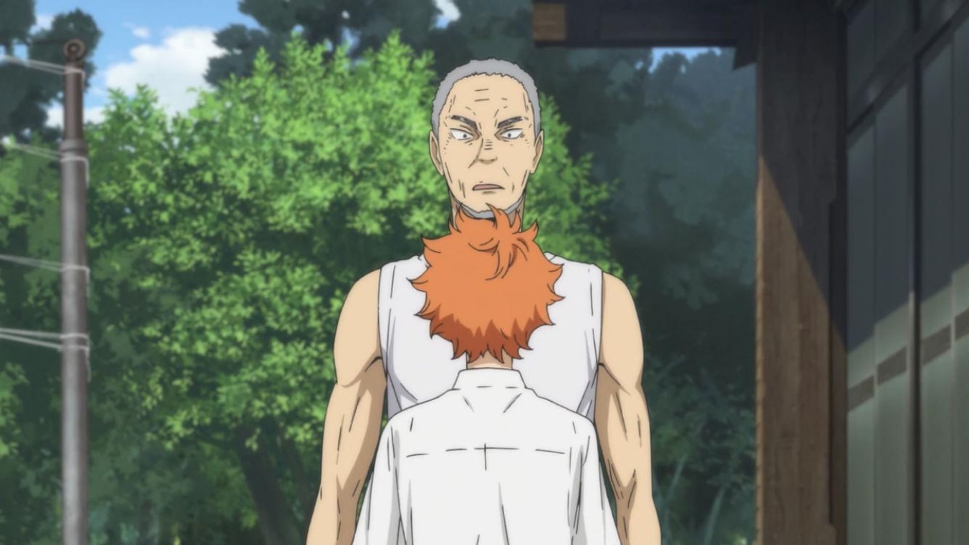 Haikyu!! background