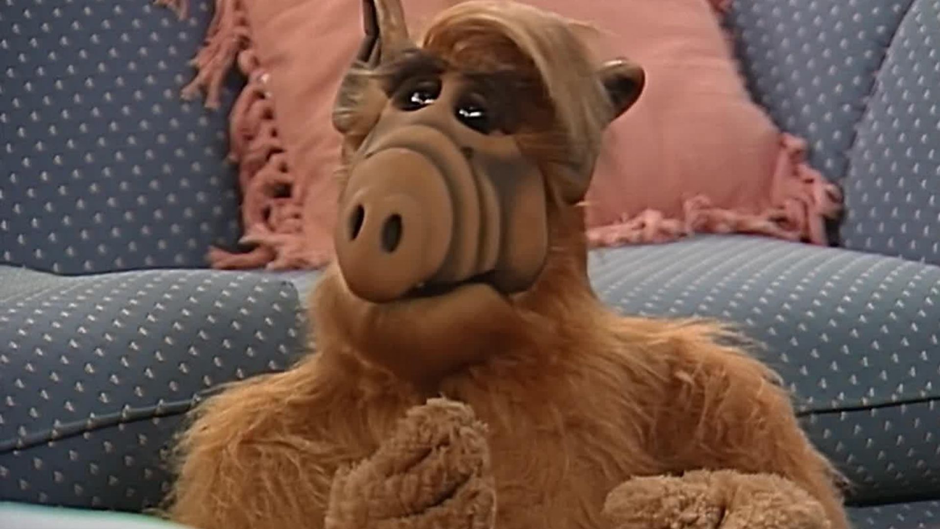 ALF background