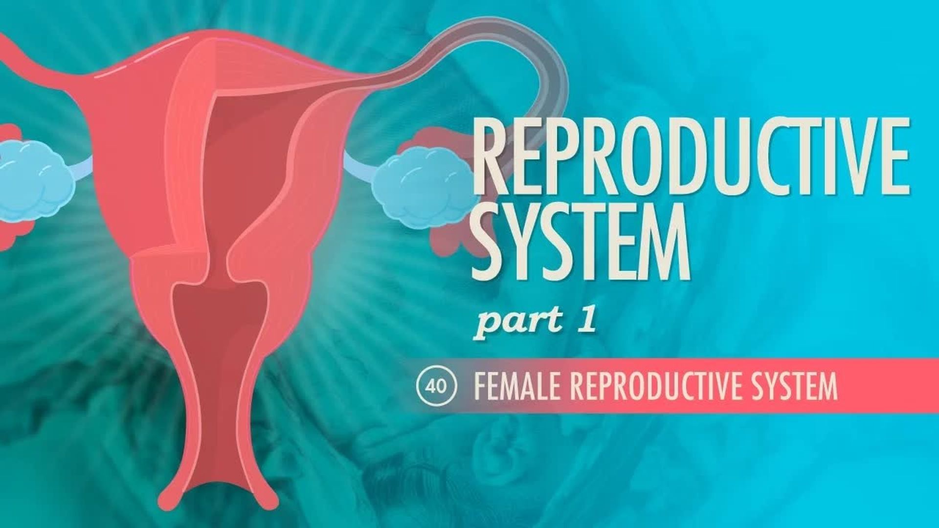 Crash Course: Anatomy & Physiology background