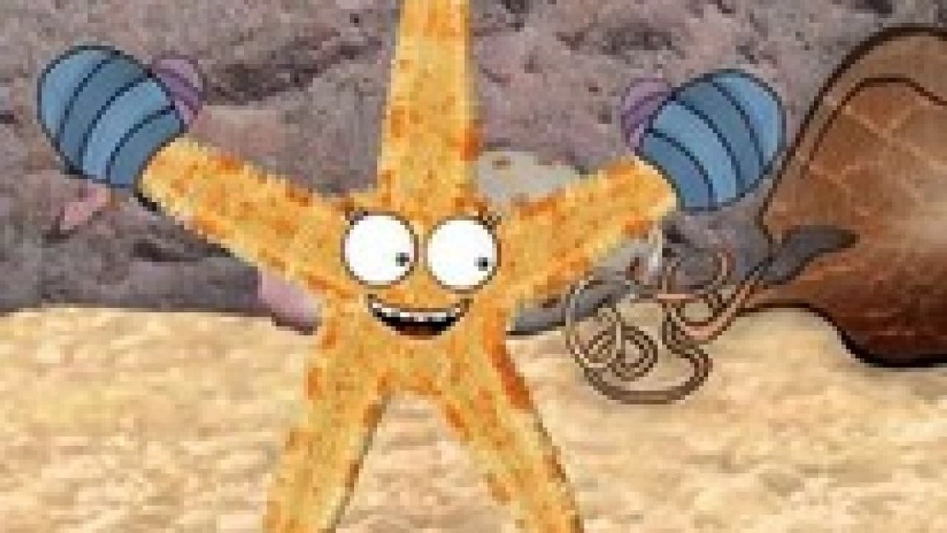 Old Jack's Boat: Rockpool Tales background