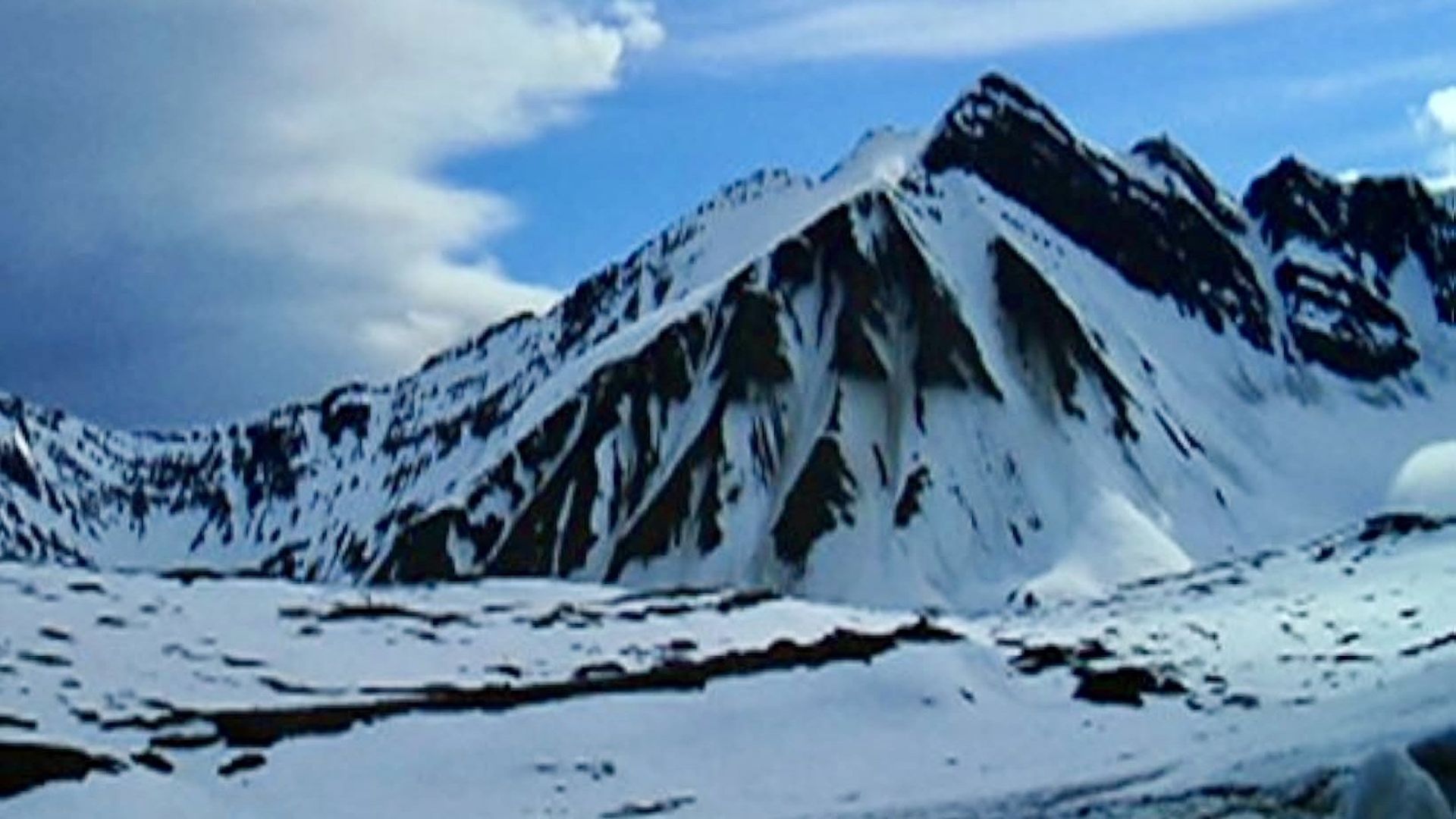 Wildest Arctic background