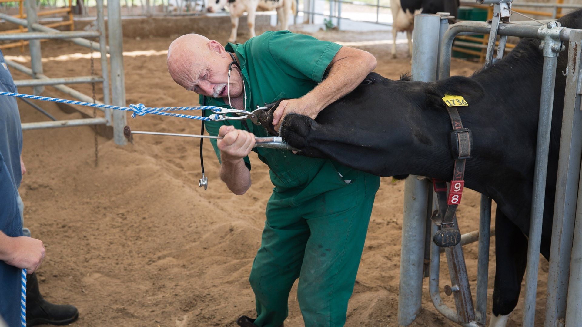The Incredible Dr. Pol background