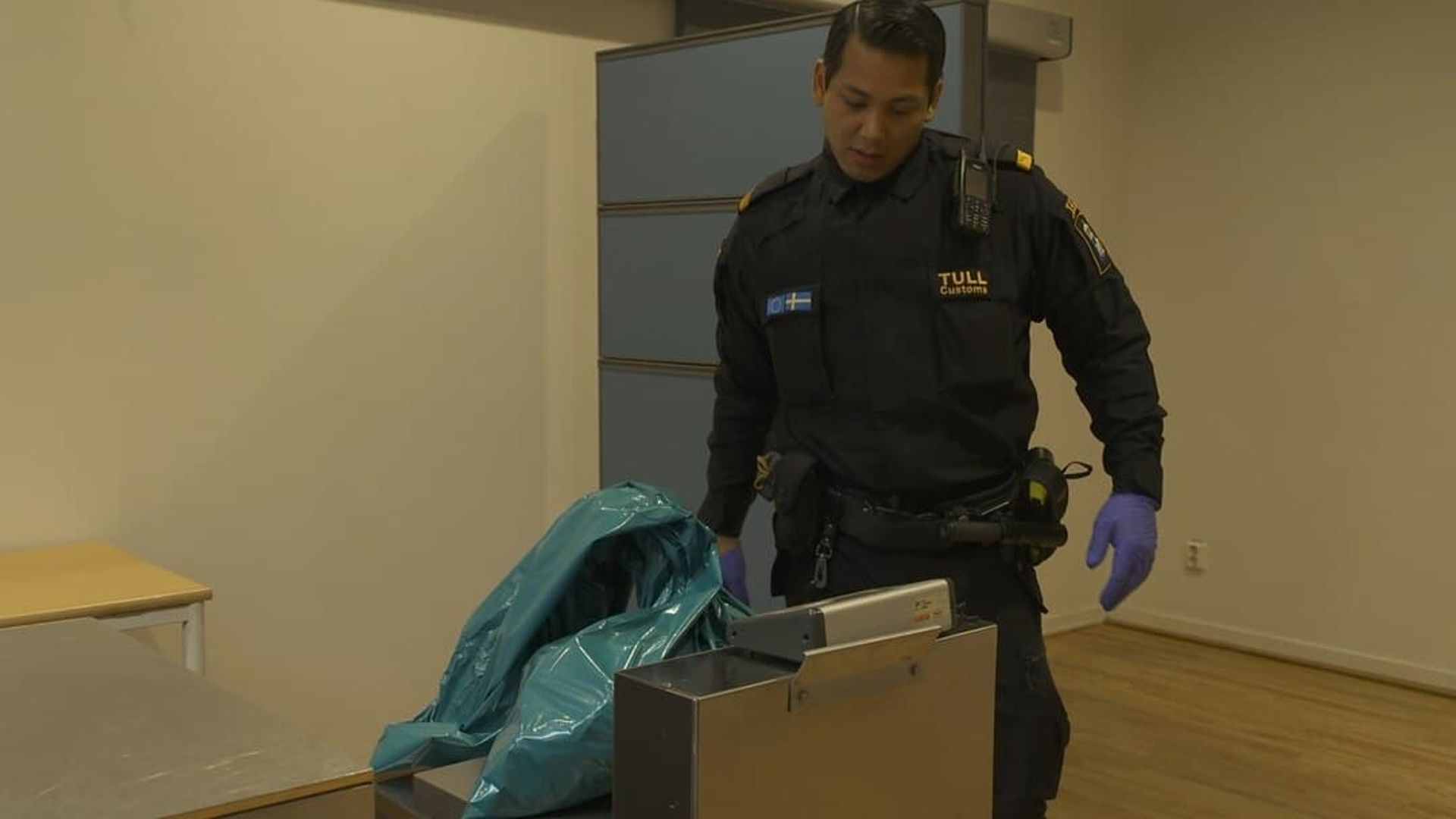 Border Control: Sweden background