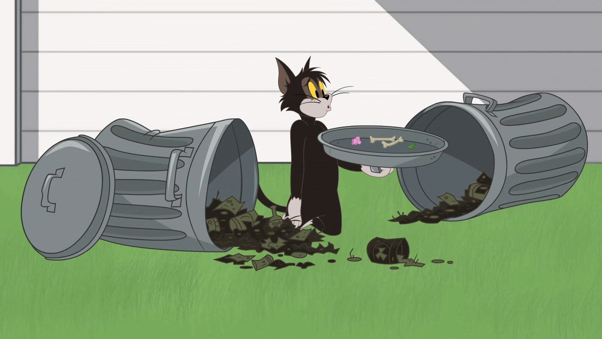 The Tom and Jerry Show background