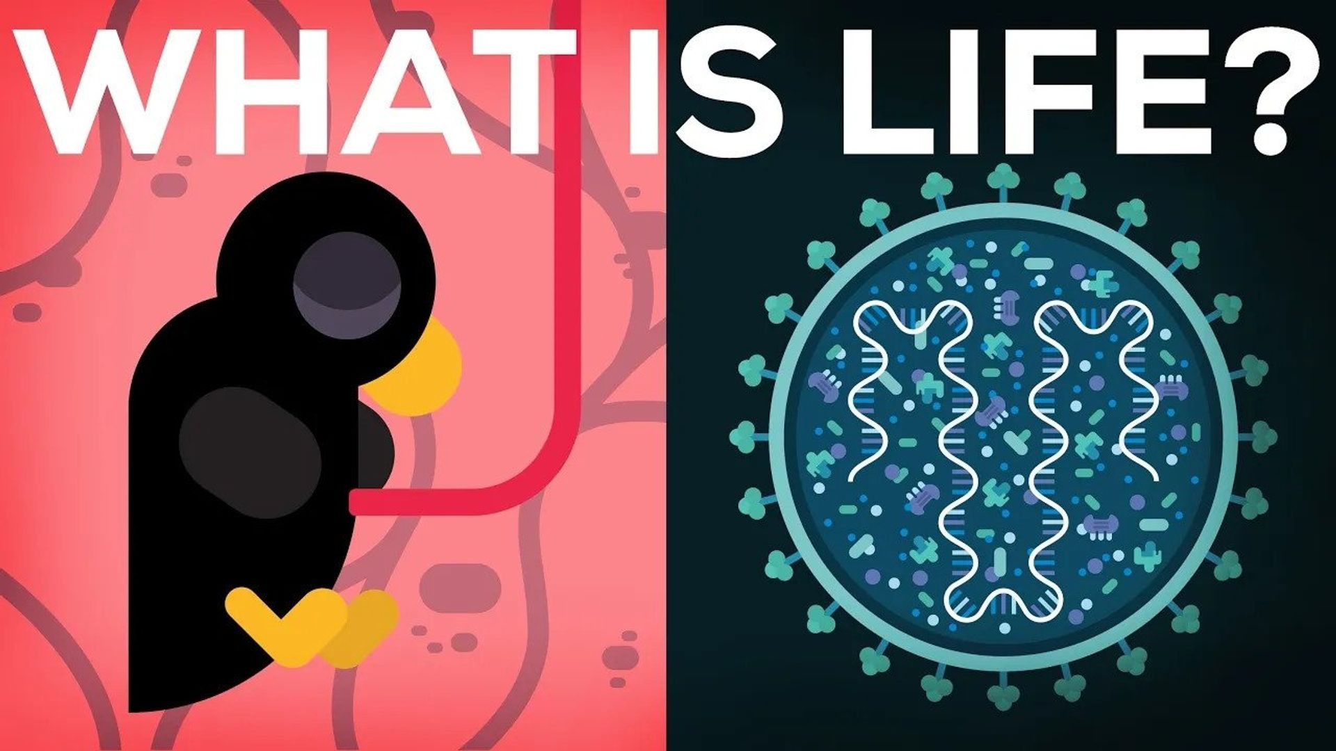 Kurzgesagt: In a Nutshell background