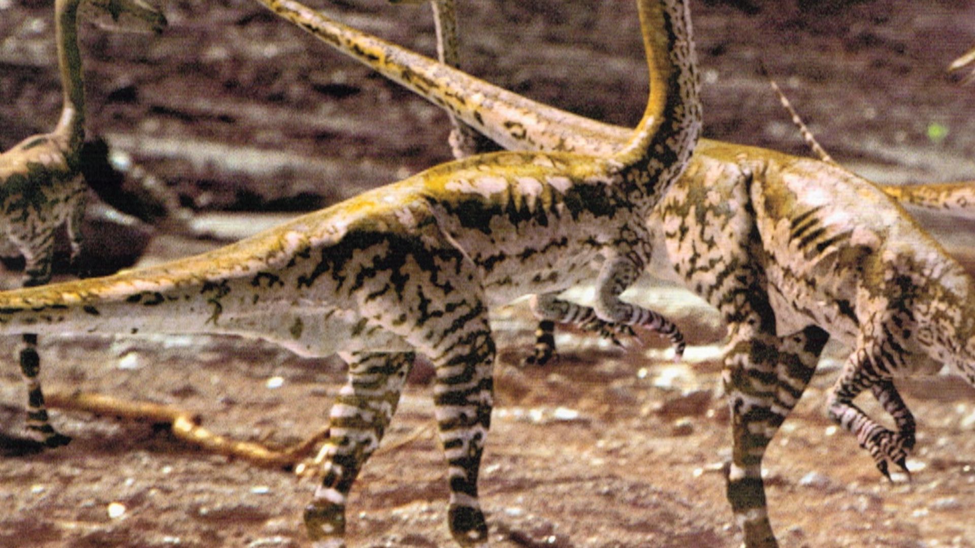 Walking with Dinosaurs background