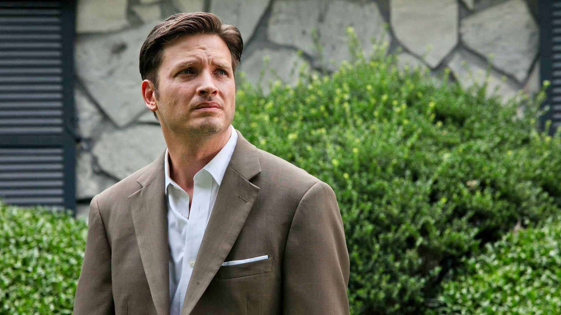 Rectify background