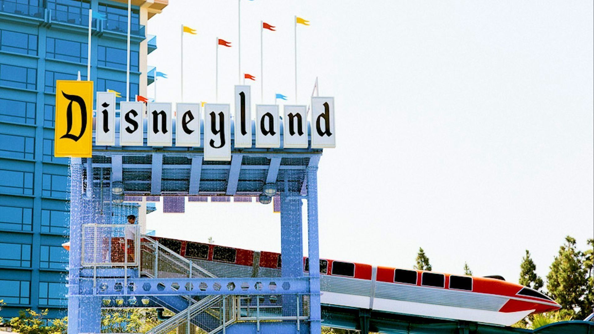 Behind the Attraction background