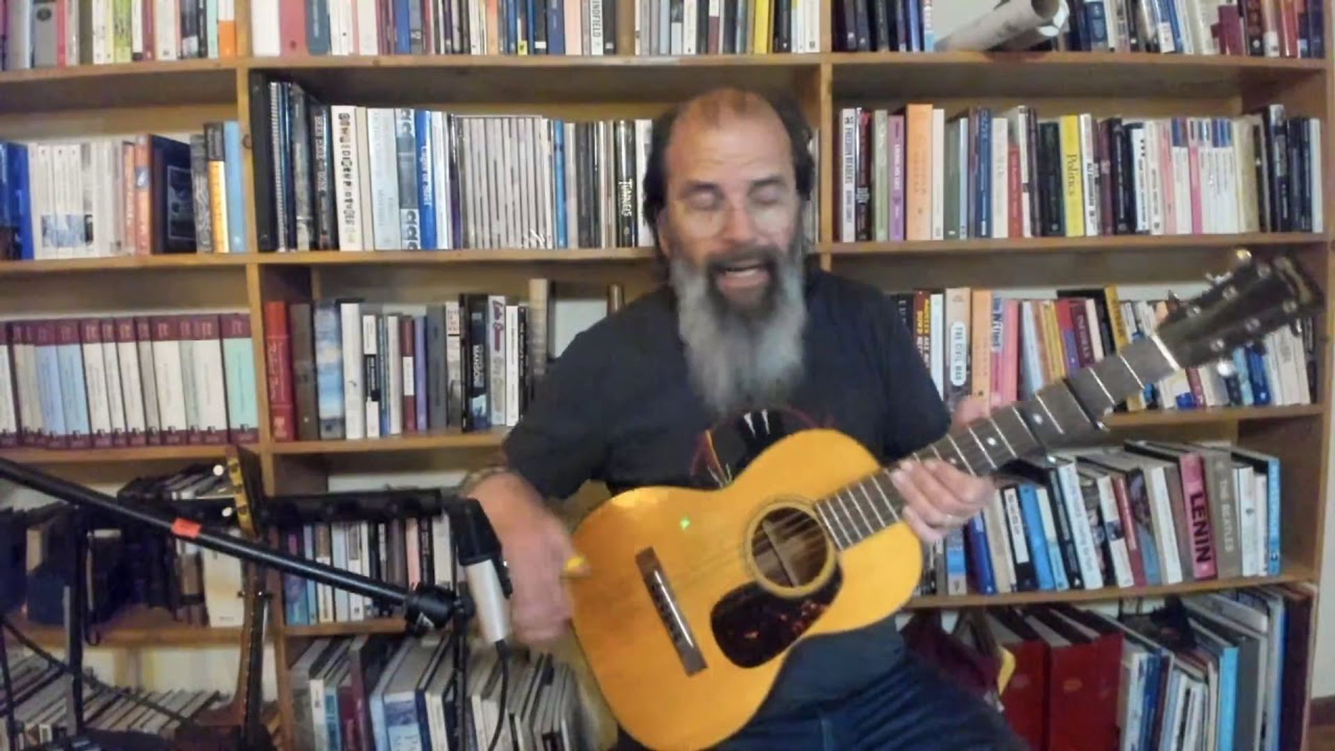 Guitar Town with Steve Earle background