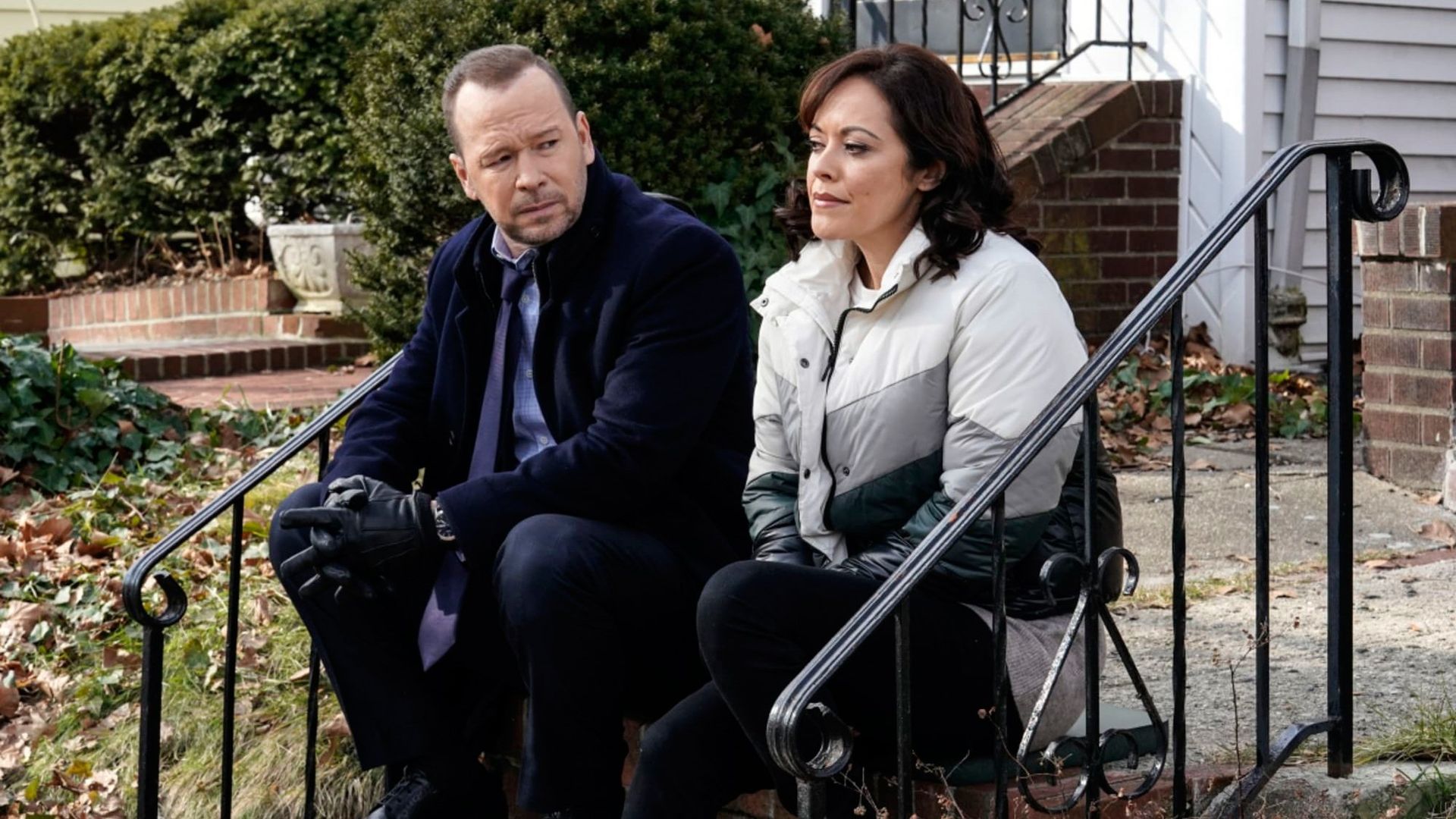 Blue Bloods background