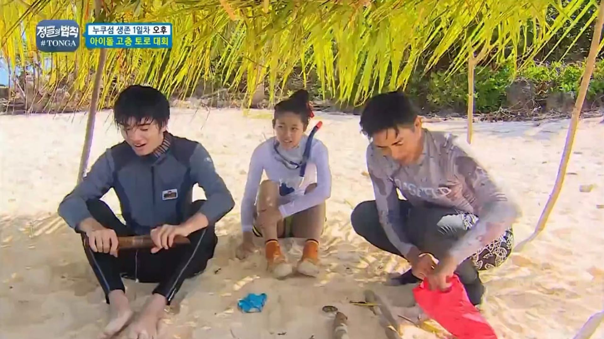 Law of the Jungle background