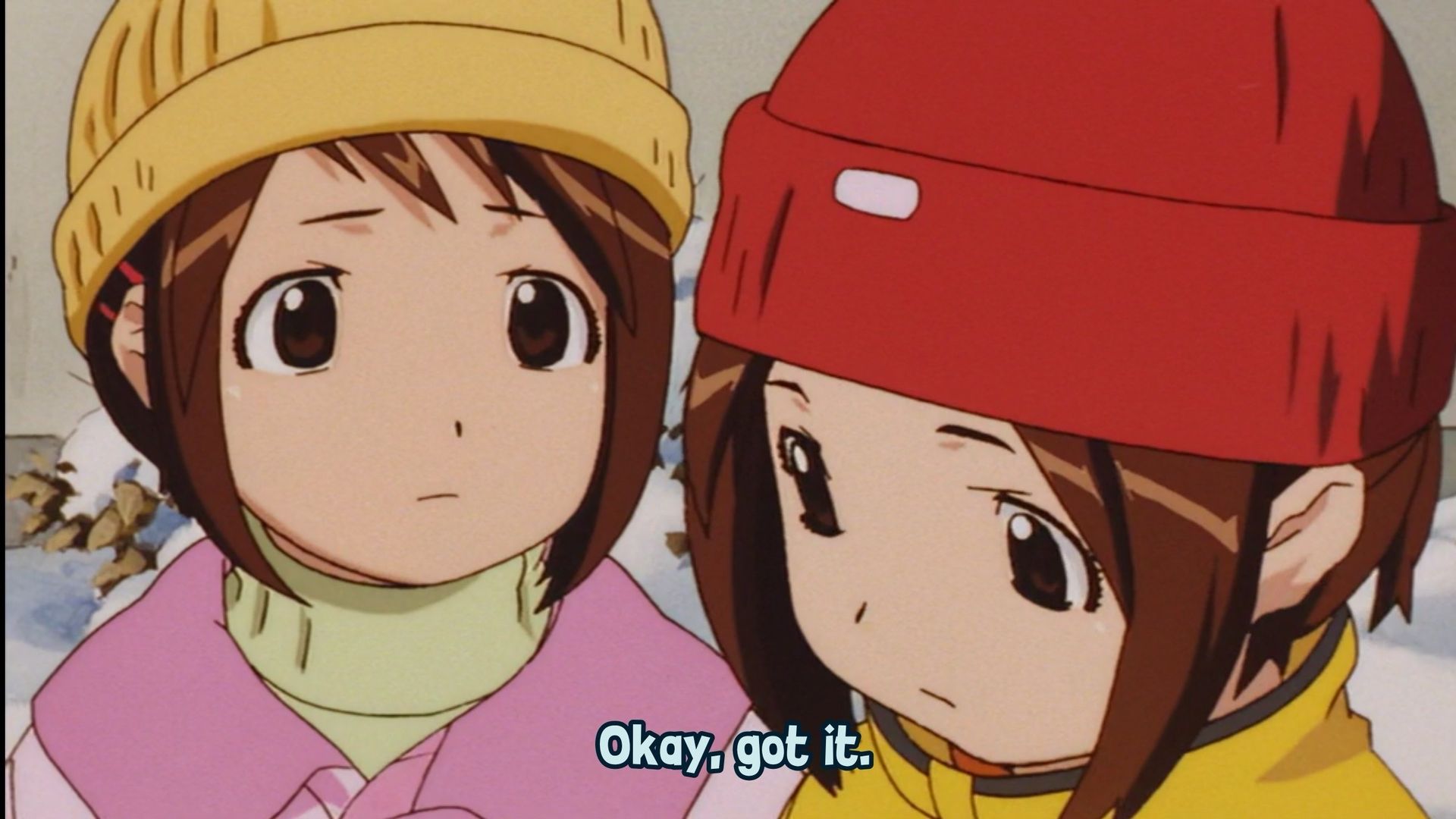 Figure 17 Tsubasa & Hikaru background
