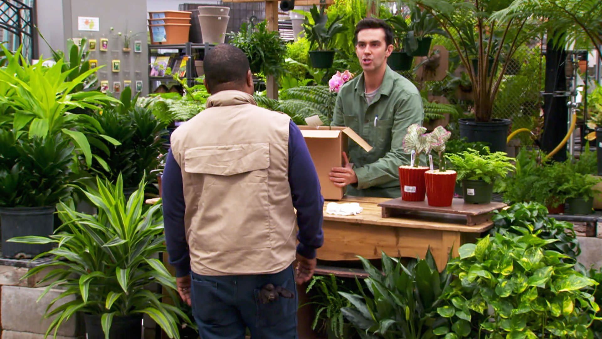 The Carbonaro Effect background