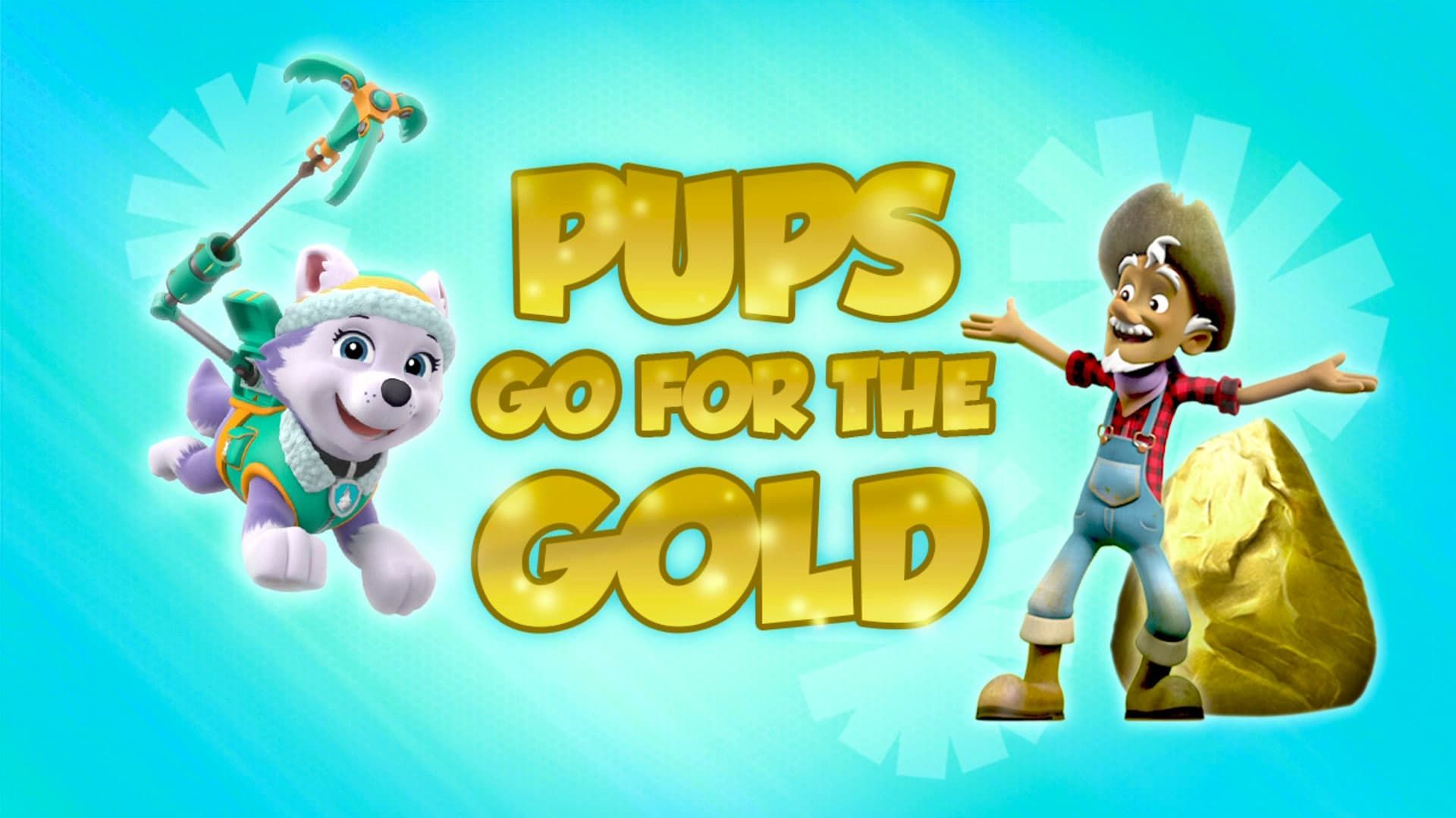 PAW Patrol background