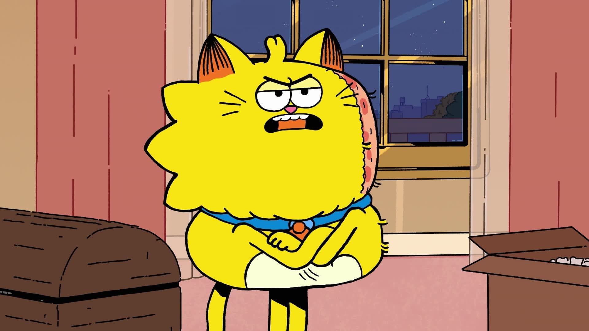Counterfeit Cat background