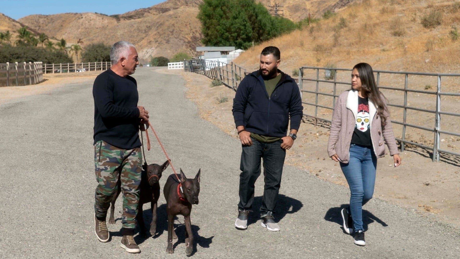 Cesar Millan: Better Human Better Dog background