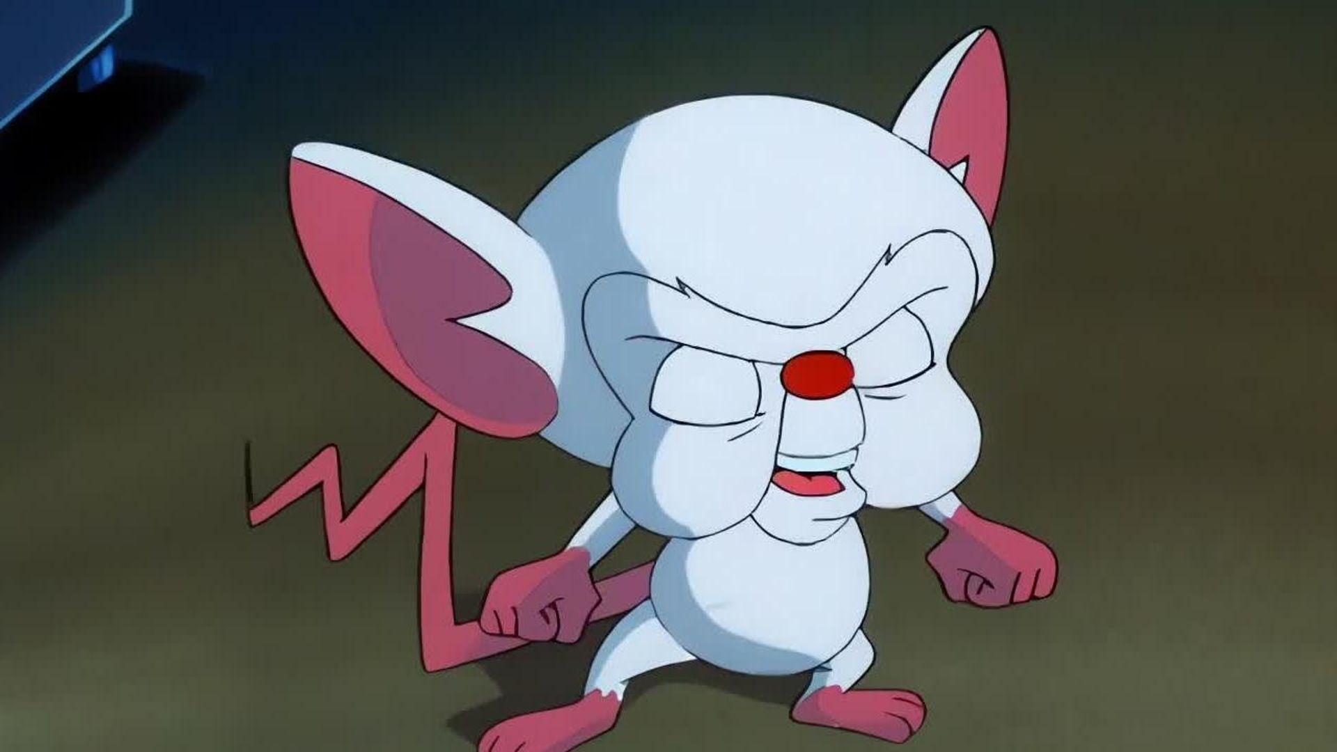 Pinky and the Brain background