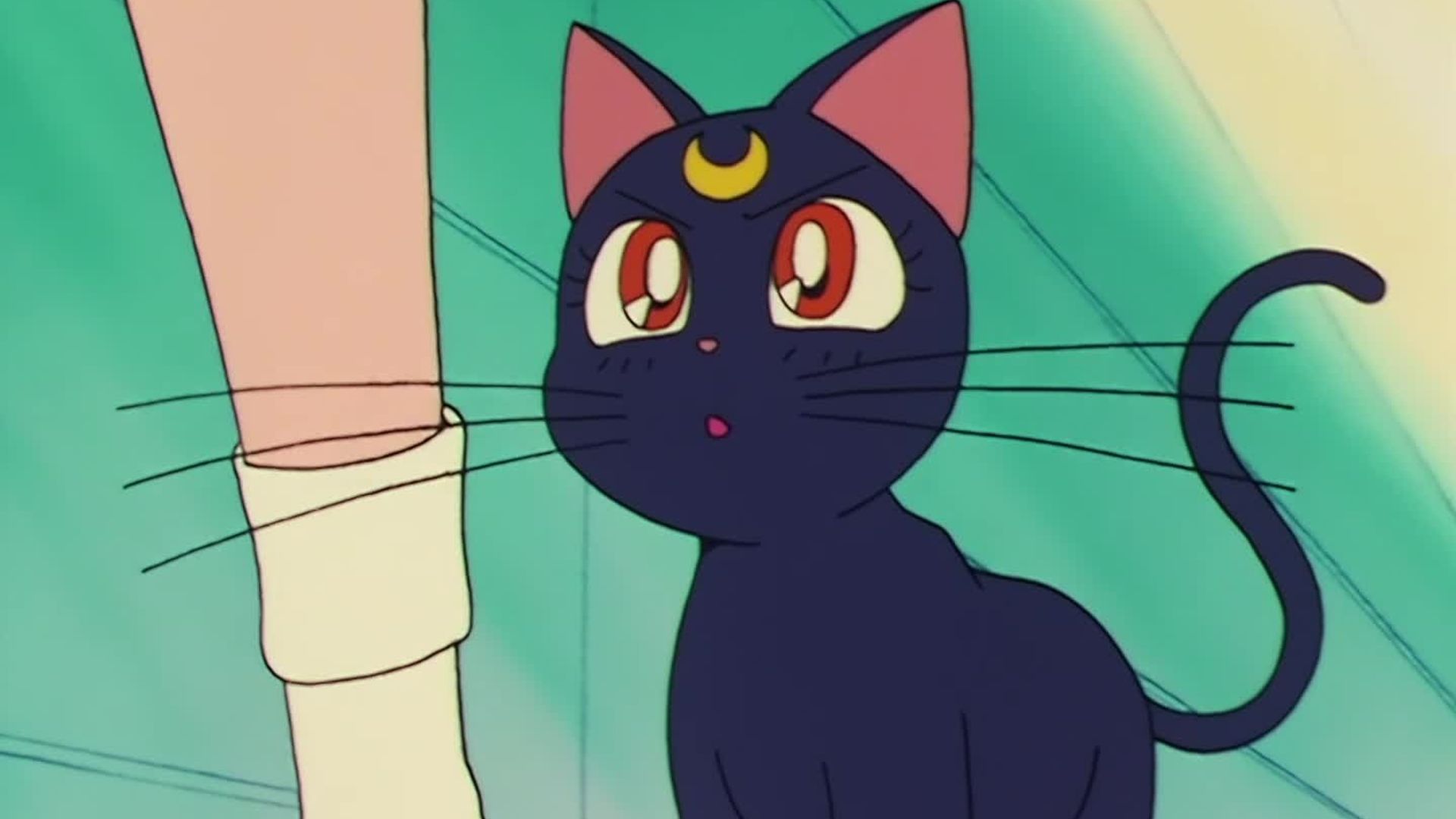 Sailor Moon background