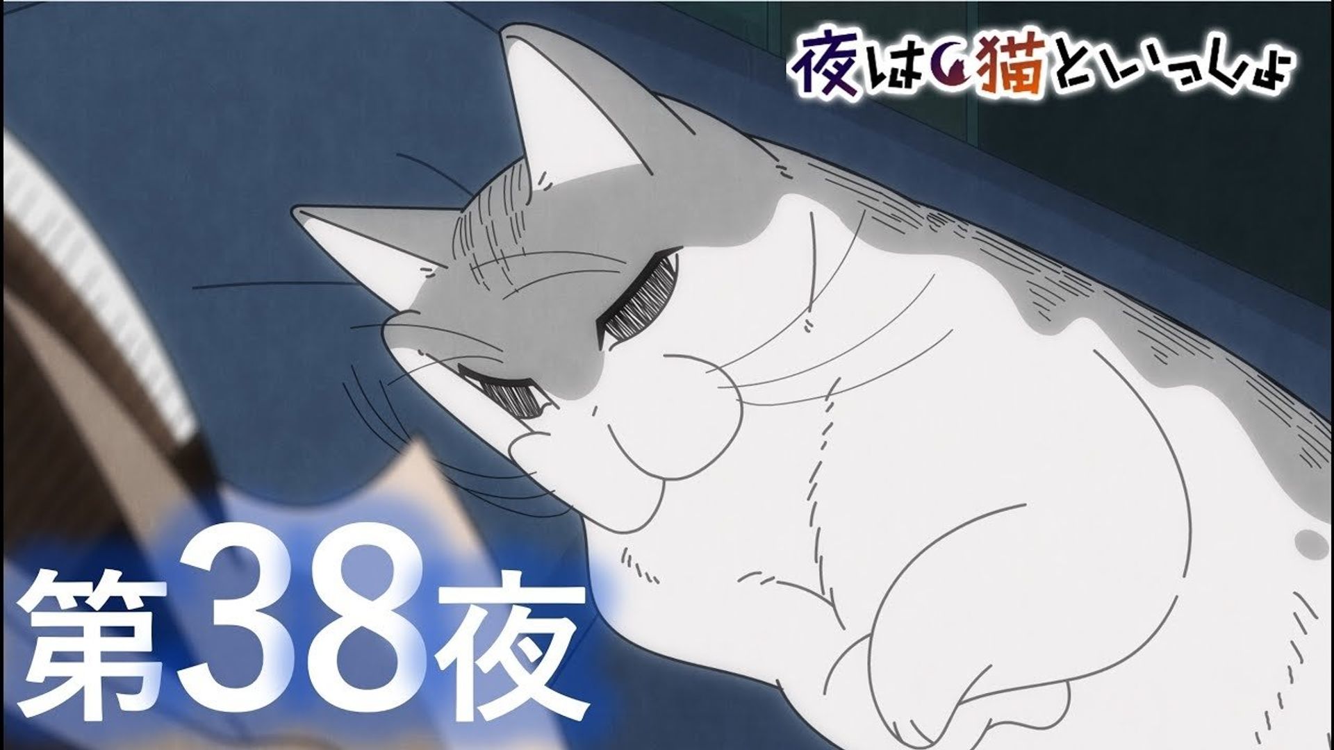 Yoru wa Neko to Issho background