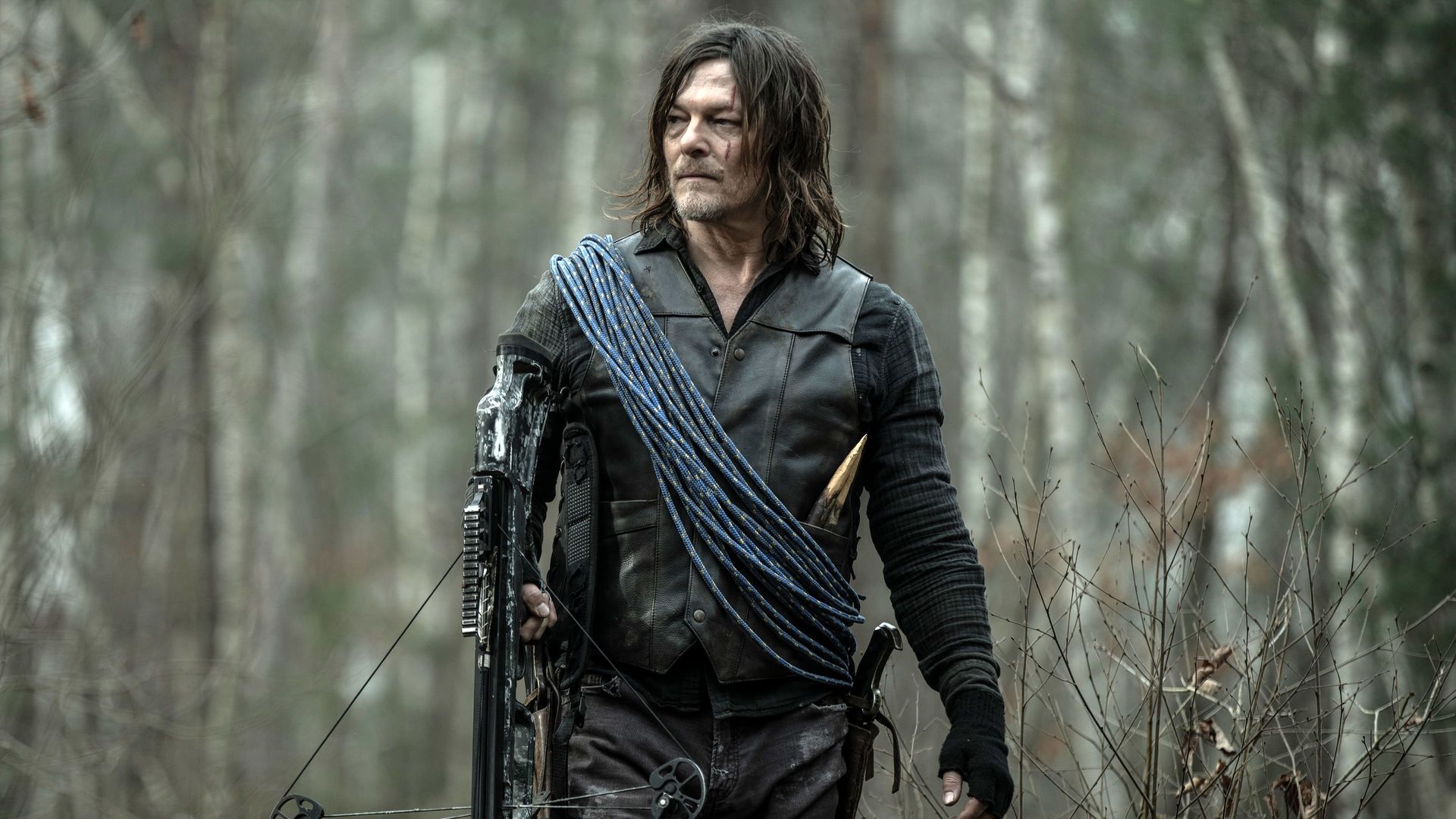 The Walking Dead: Daryl Dixon background