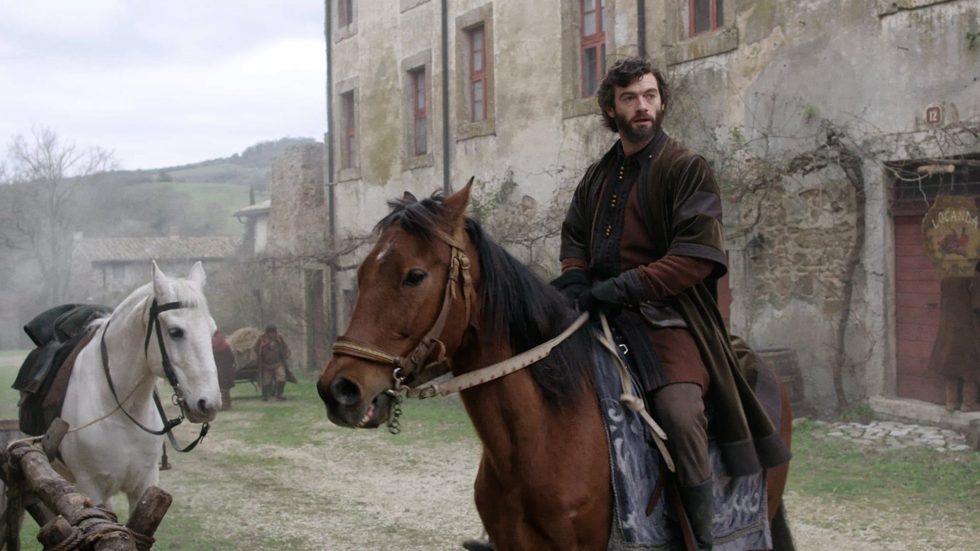 Medici background