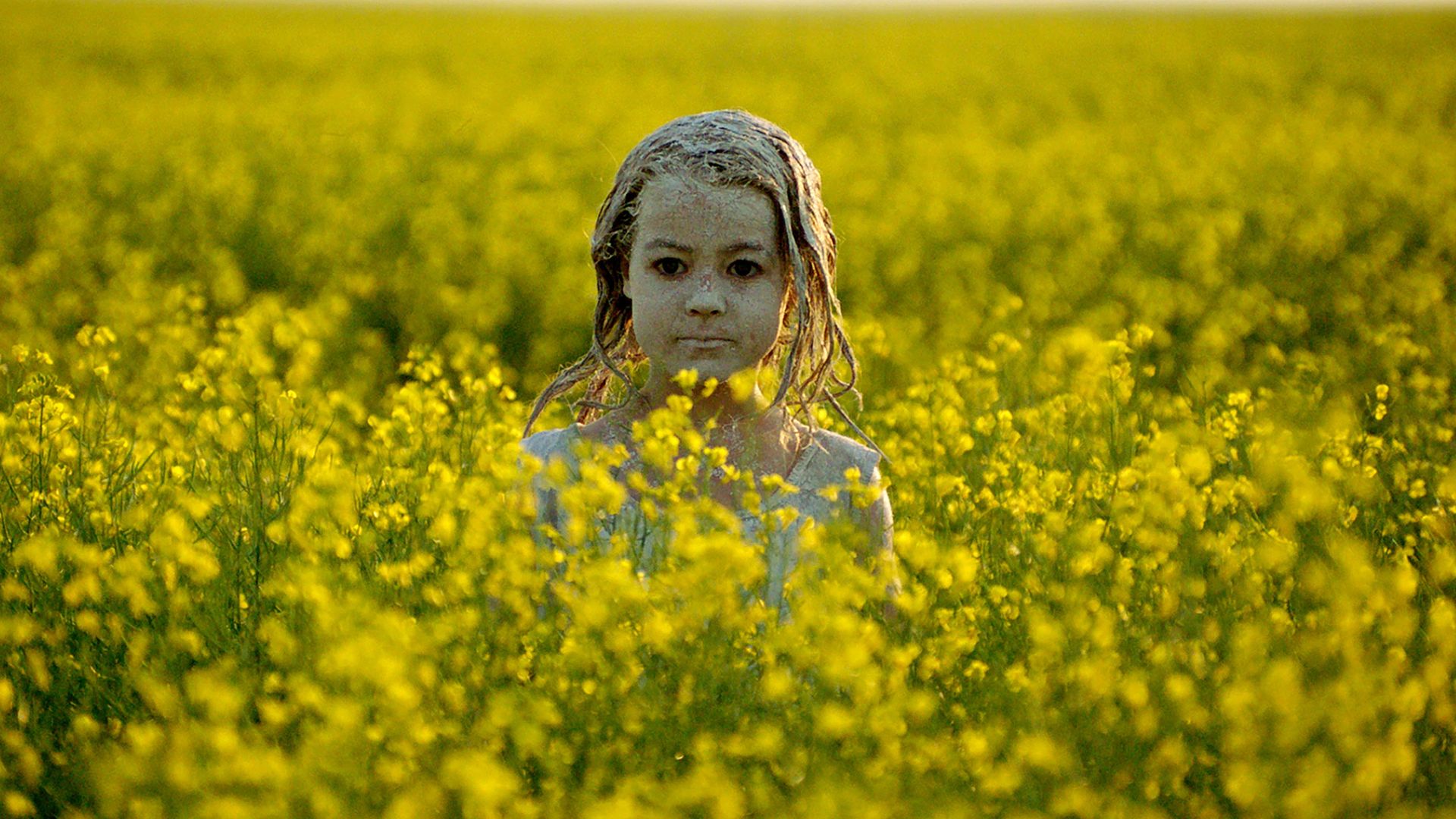 Channel Zero background