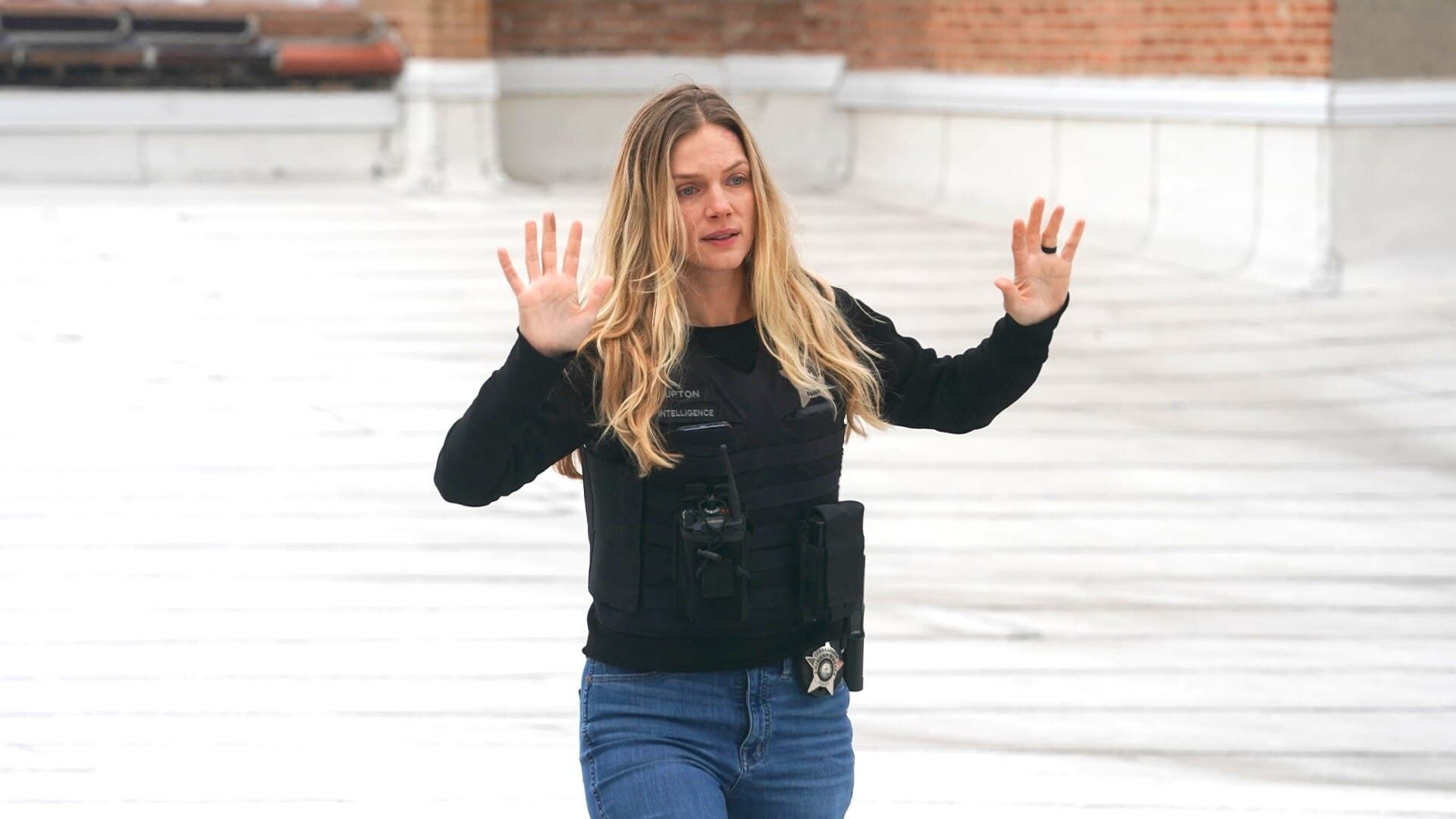 Chicago P.D. background