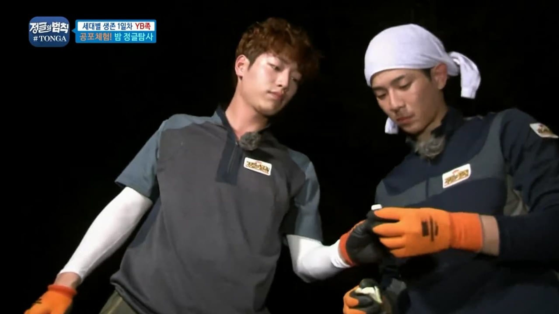 Law of the Jungle background
