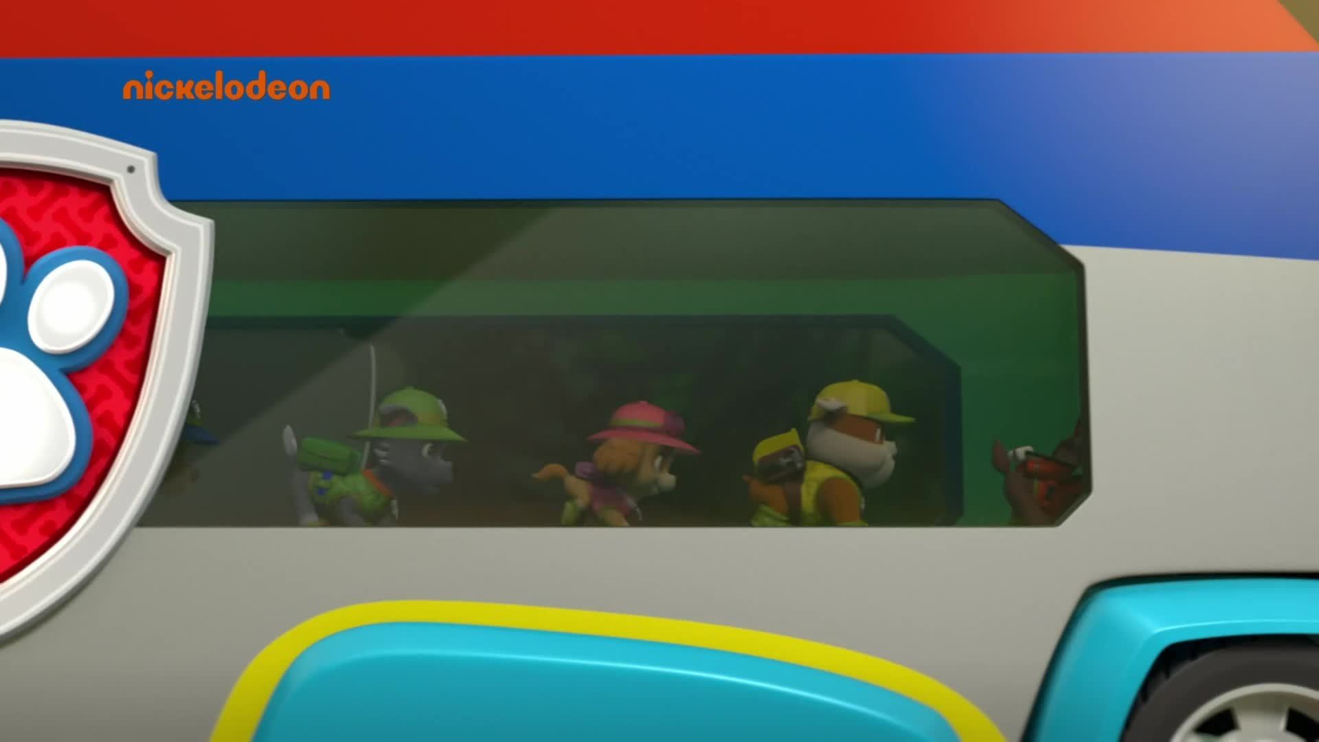 PAW Patrol background