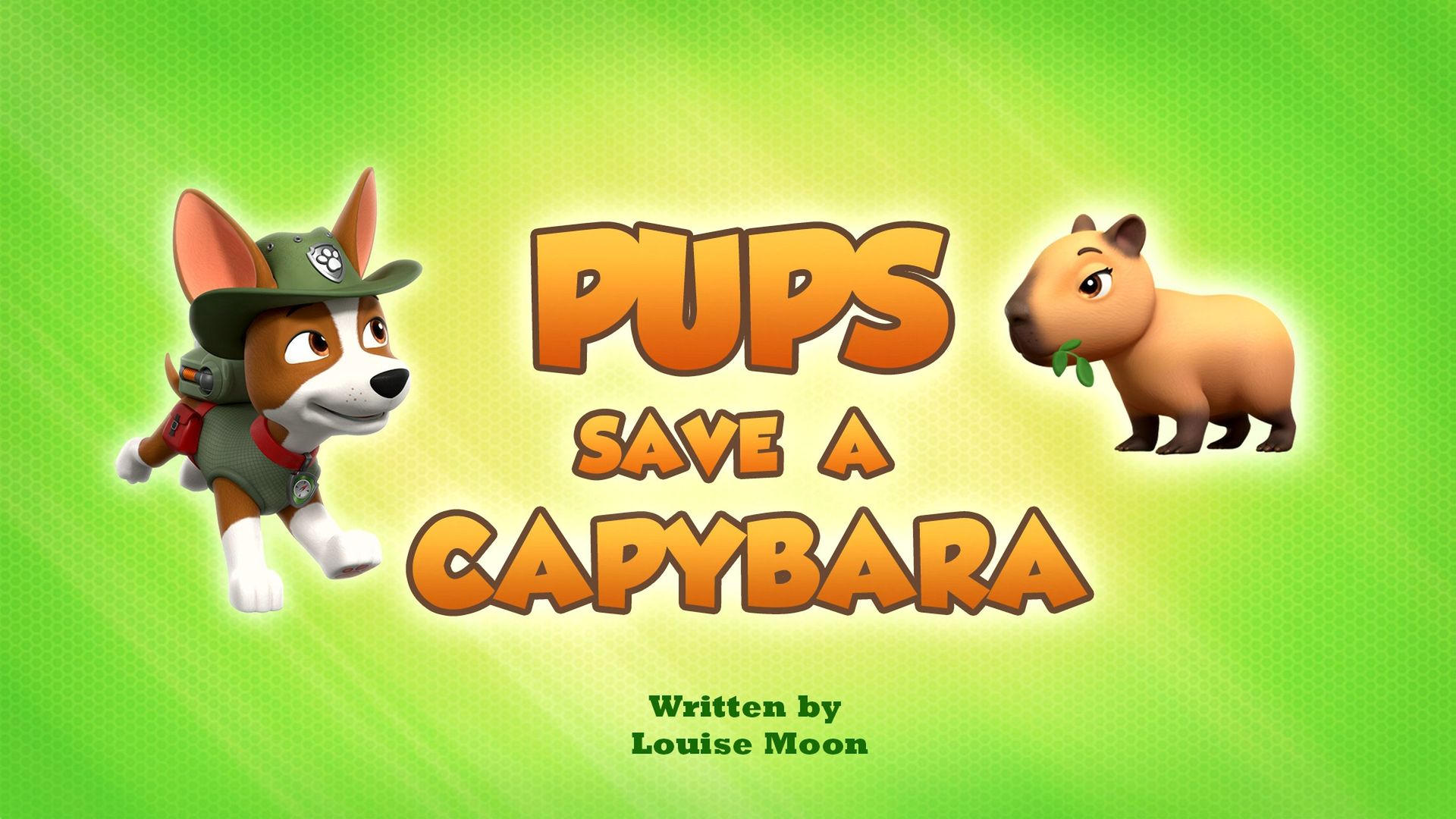PAW Patrol background