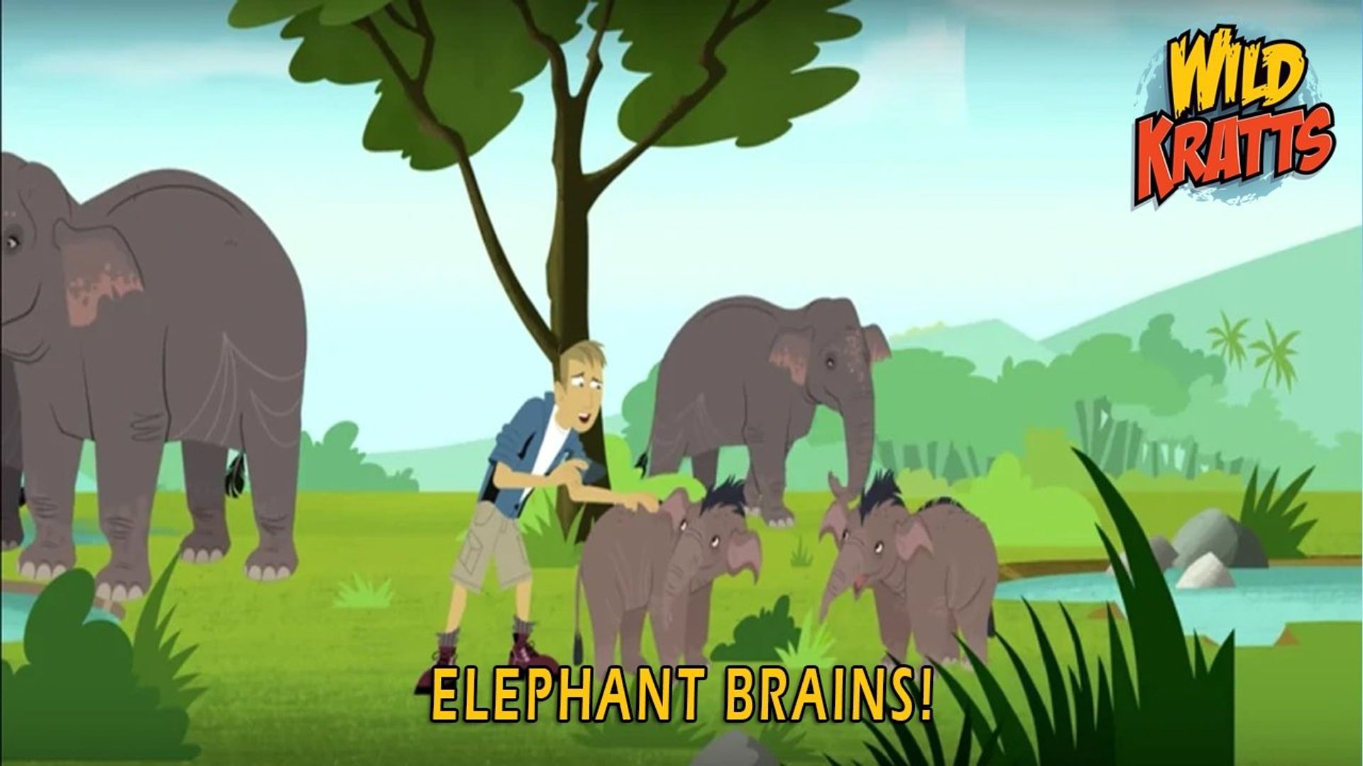 Wild Kratts background