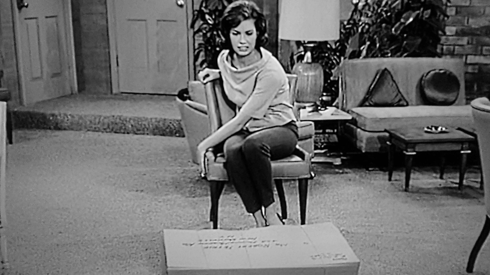 The Dick Van Dyke Show background