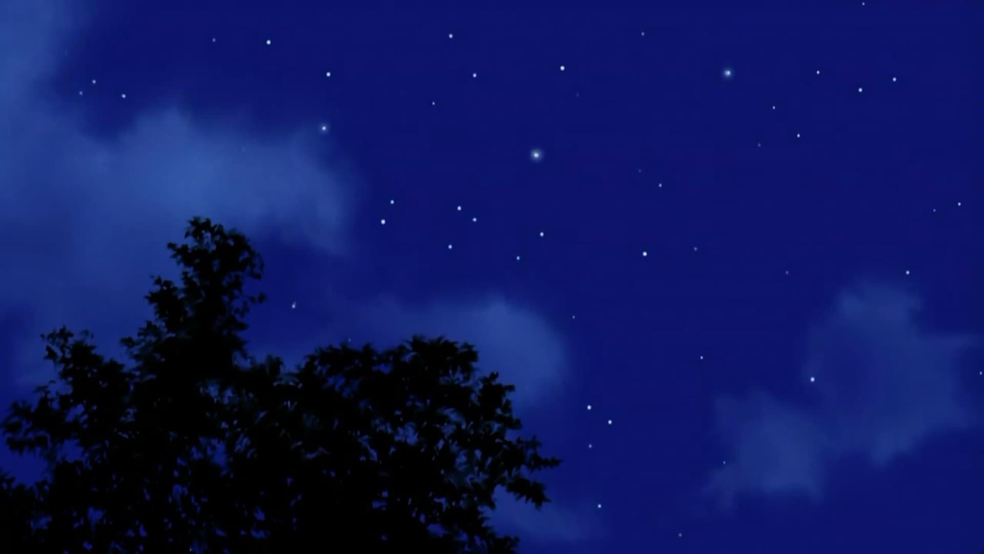 Home Movies background