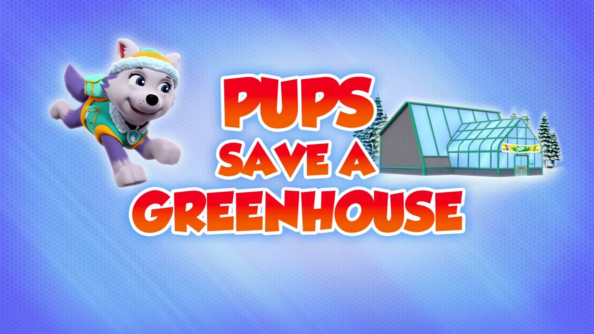 PAW Patrol background