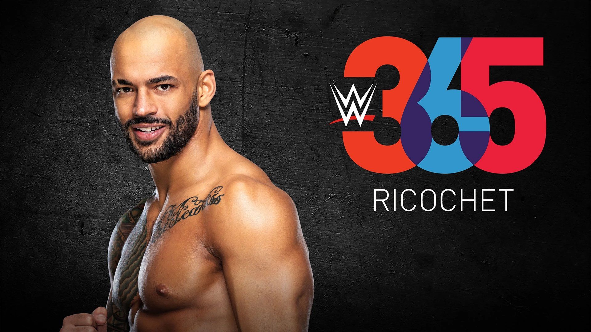 WWE 365 background