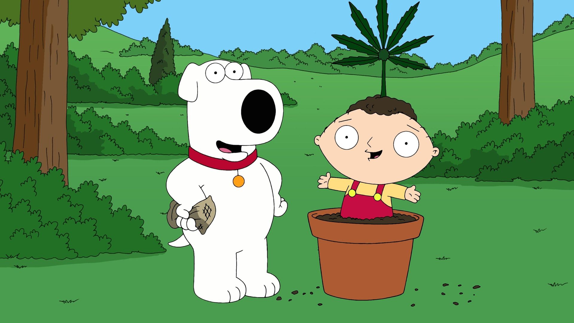 Family Guy background