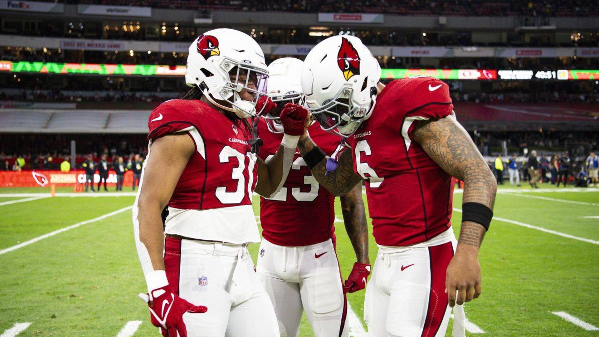 Hard Knocks in Season: The Arizona Cardinals background