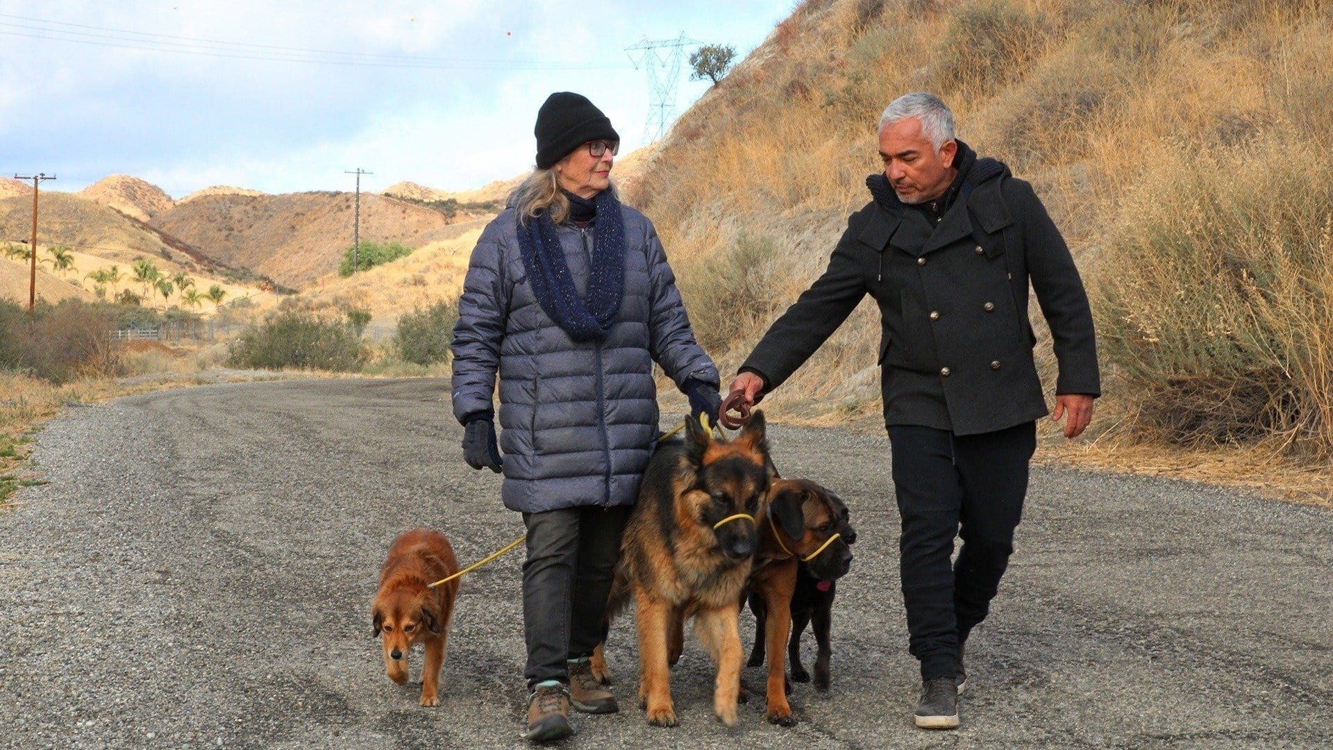 Cesar Millan: Better Human Better Dog background