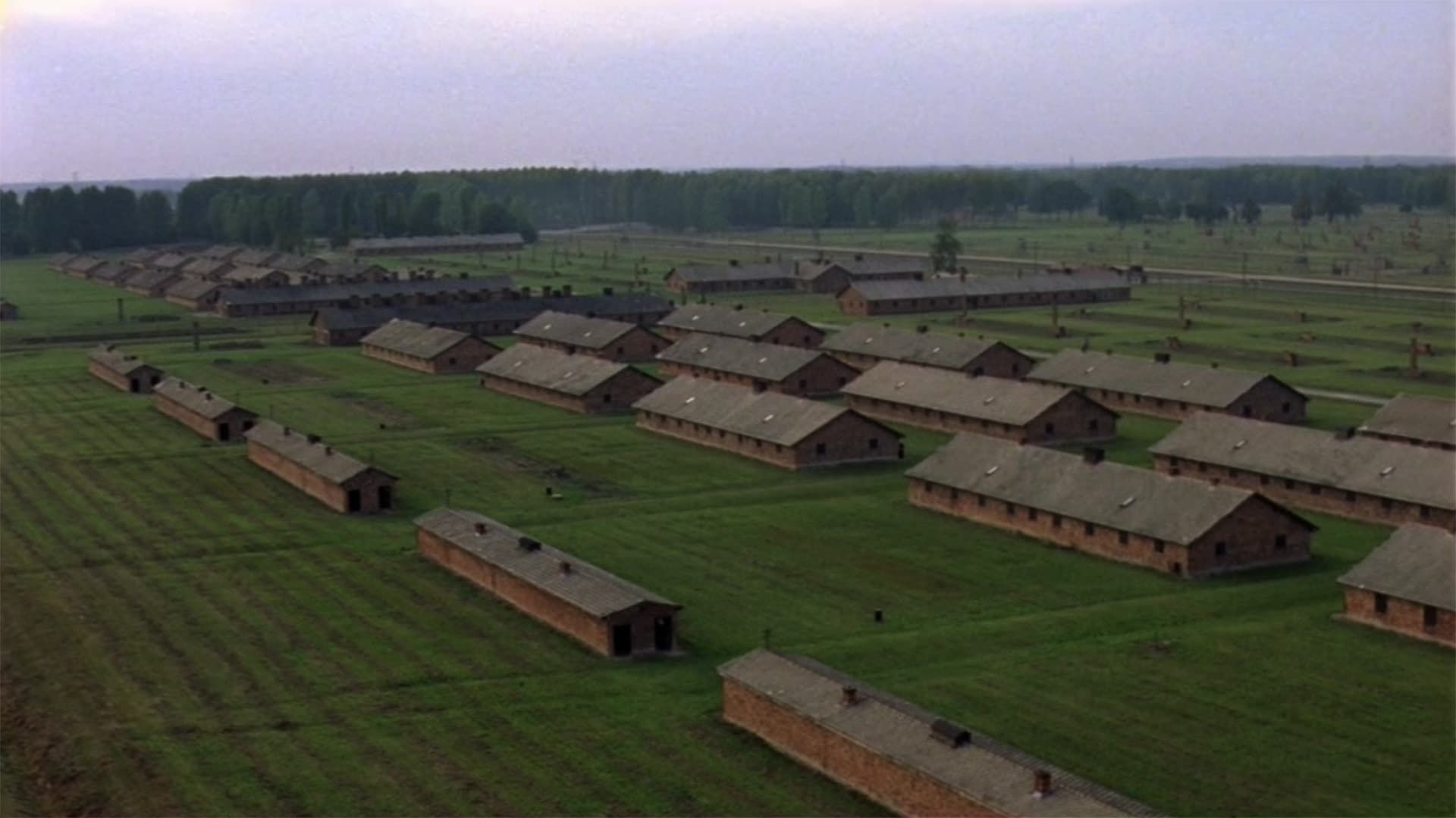 Auschwitz: Inside the Nazi State background