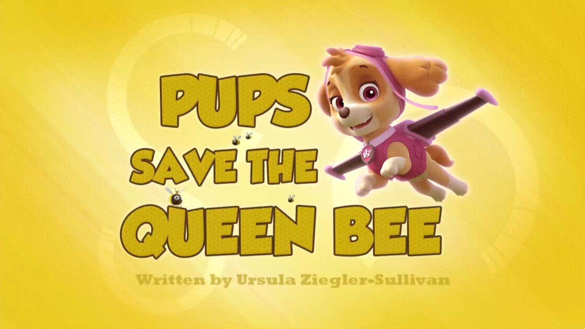 PAW Patrol background