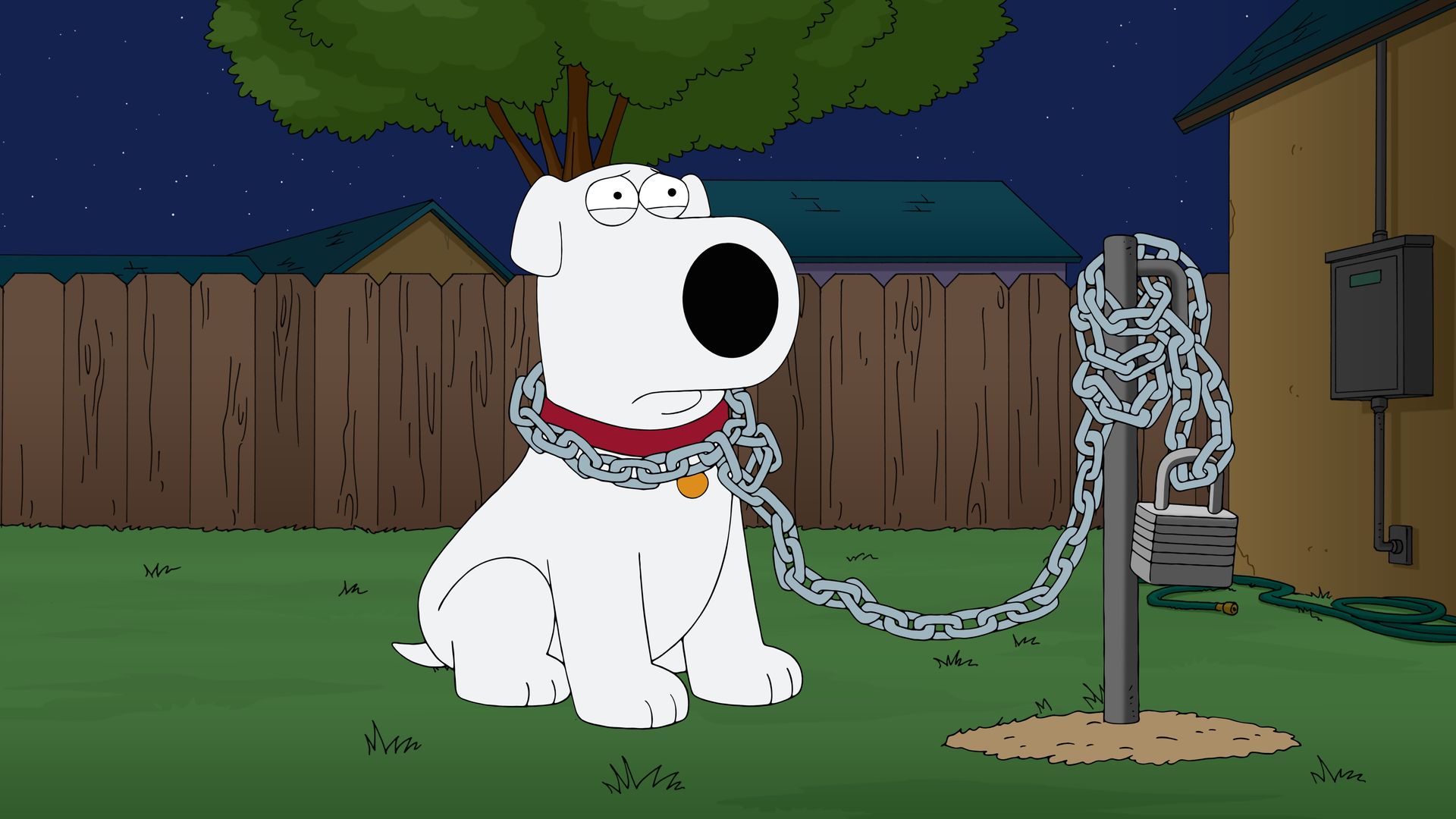 Family Guy background