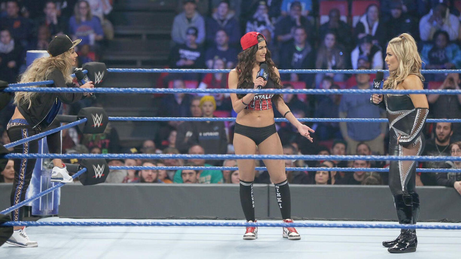 World Wrestling Federation Smackdown! background