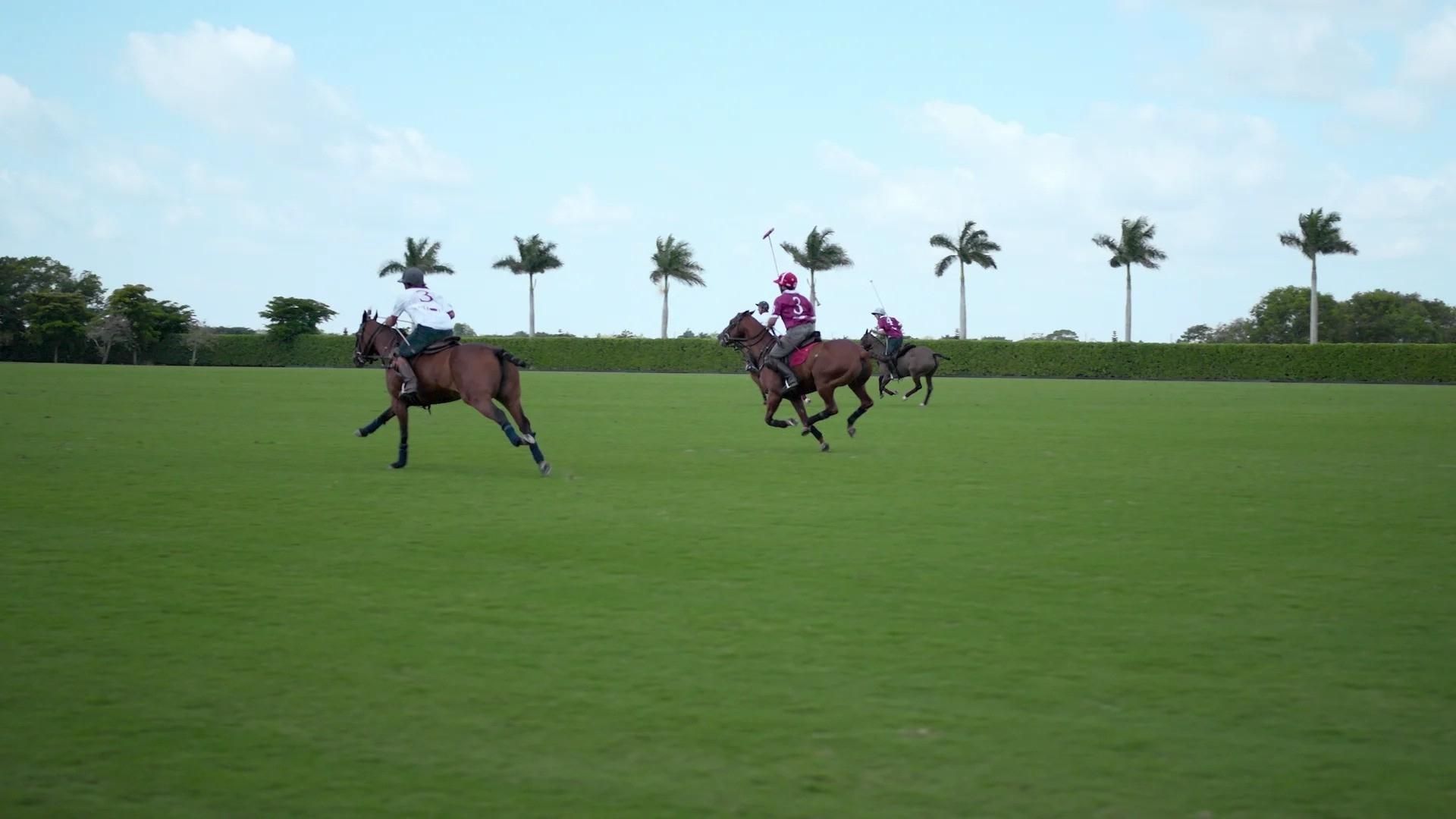 Polo background