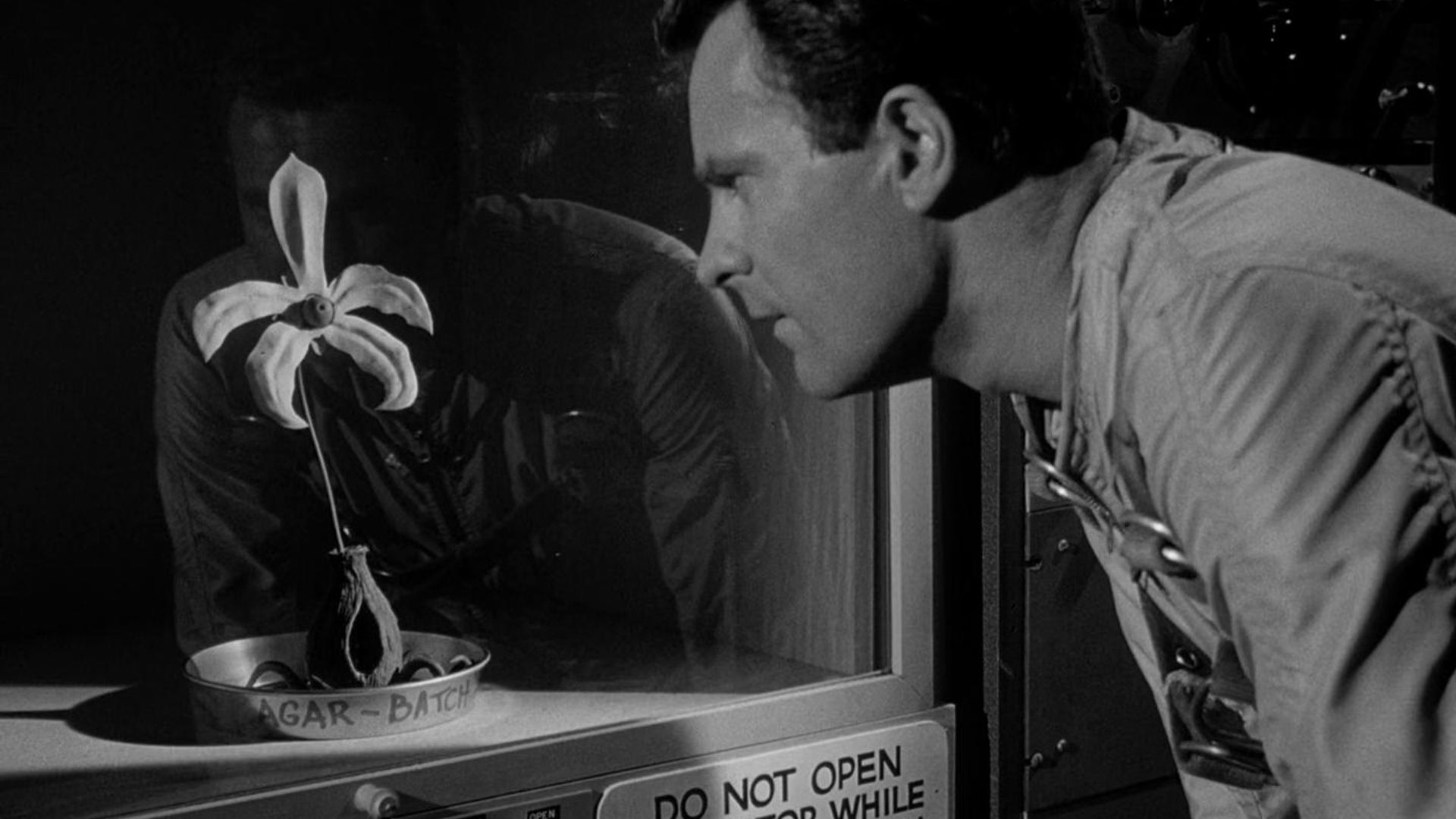 The Outer Limits background